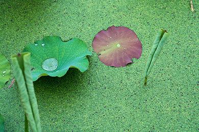 《糖豆人》从Steam下架后 该平台玩家数不降反增
